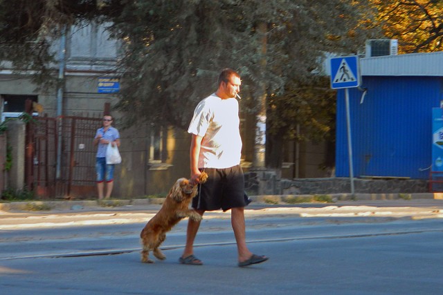 Awesome Phots From Russia With Love - Dog Walker