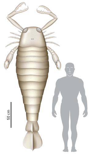 Massive Prehistoric Insects - Jaekelopterus - Giant Scorpion - Size Comparison