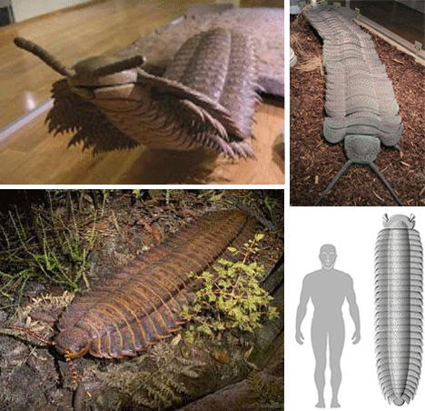 Massive Prehistoric Insects - Meganeuropsis permiana - Arthropleura Montage