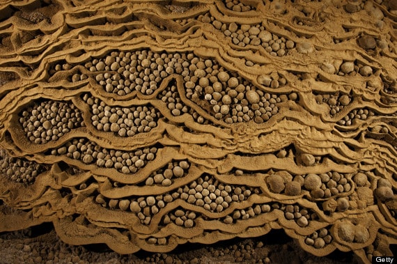 Rare cave pearls fill dried-out terrace pools in Hang Son Doong.