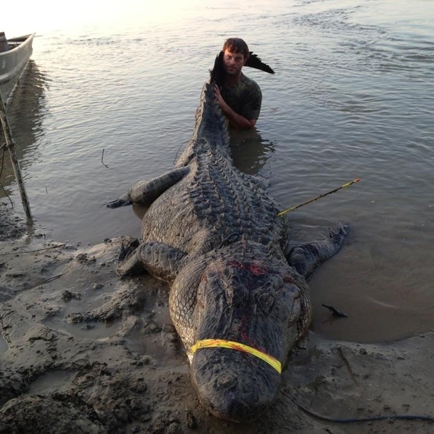 World Record Alligator 2