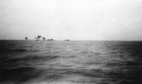 1931 China Floods - Fields