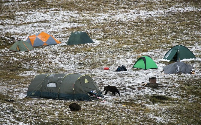 Awesome Photos From Russia With Love - Camp and Bears