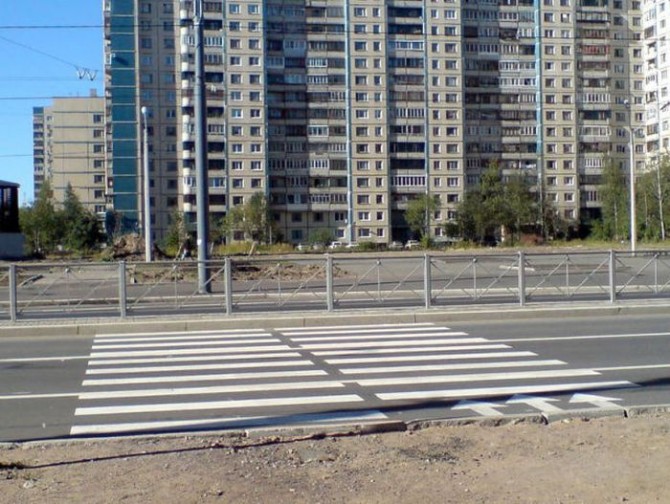 Awesome Photos From Russia With Love - Zebra Crossing