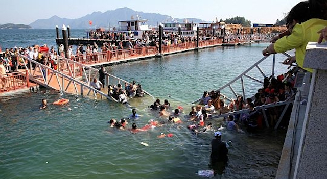 Bridge Collapse