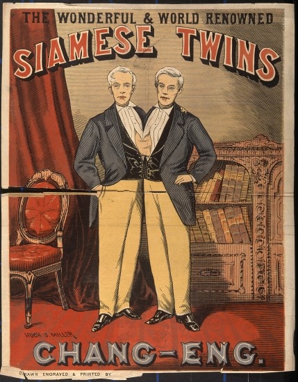 V0010478 Chang and Eng, the Siamese twins, in evening dress. Colour w