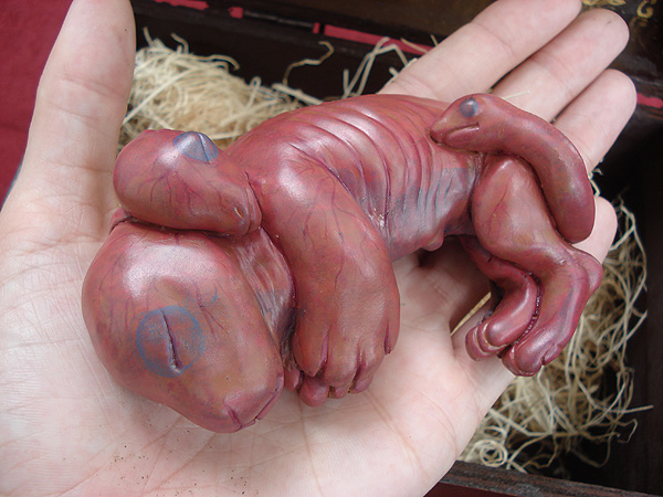 Chimera Fetus (1)