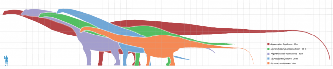 Dinosaur - Weirdest Strangest Coolest - Longest