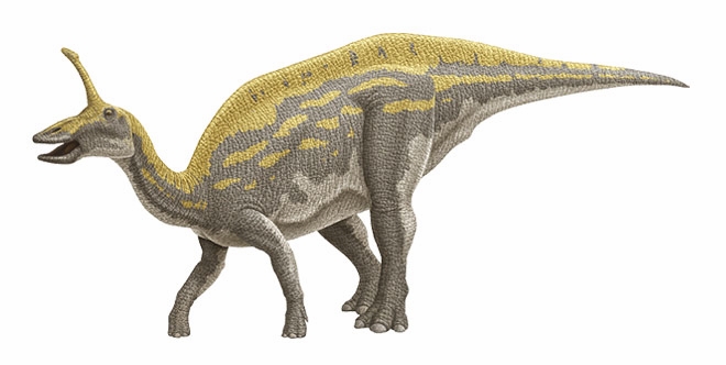 Dinosaur - Weirdest Strangest Coolest - Tsintaosaurus - Drawing