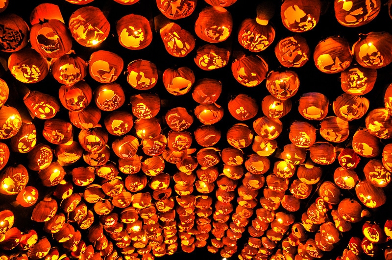 Great Jack O Lantern Blaze 7