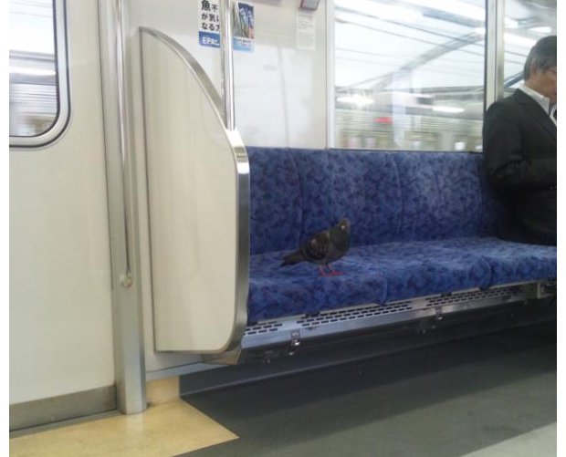 Japan Trains Weird Animals 1