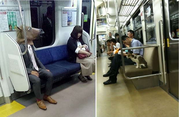 Japan Trains Weird Animals