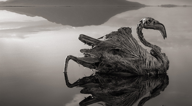 Lake Natron Featured