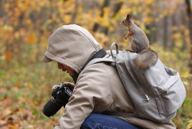 Perfectly Timed Animal Shots 37