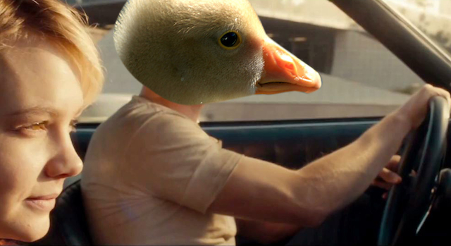 Ry's Goslings Featured