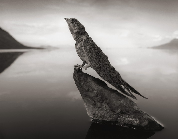Lake Natron 5