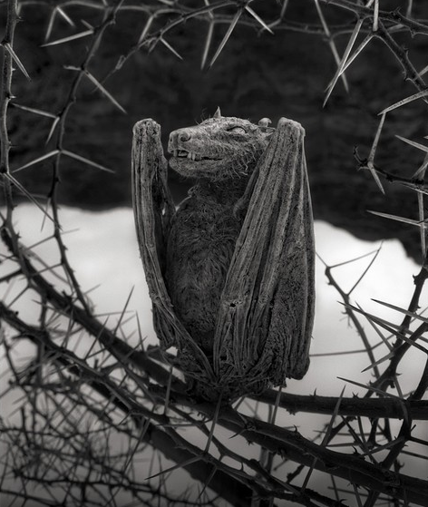 Lake Natron 4
