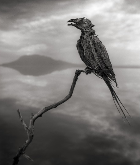 Lake Natron 3