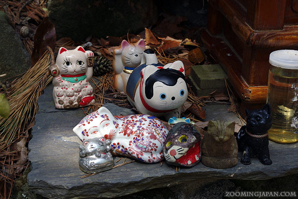 Tashirojima - Japan Cat Island - Cat Shrine 2