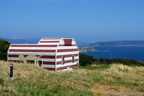 Tashirojima - Japan Cat Island - Manga Island 3