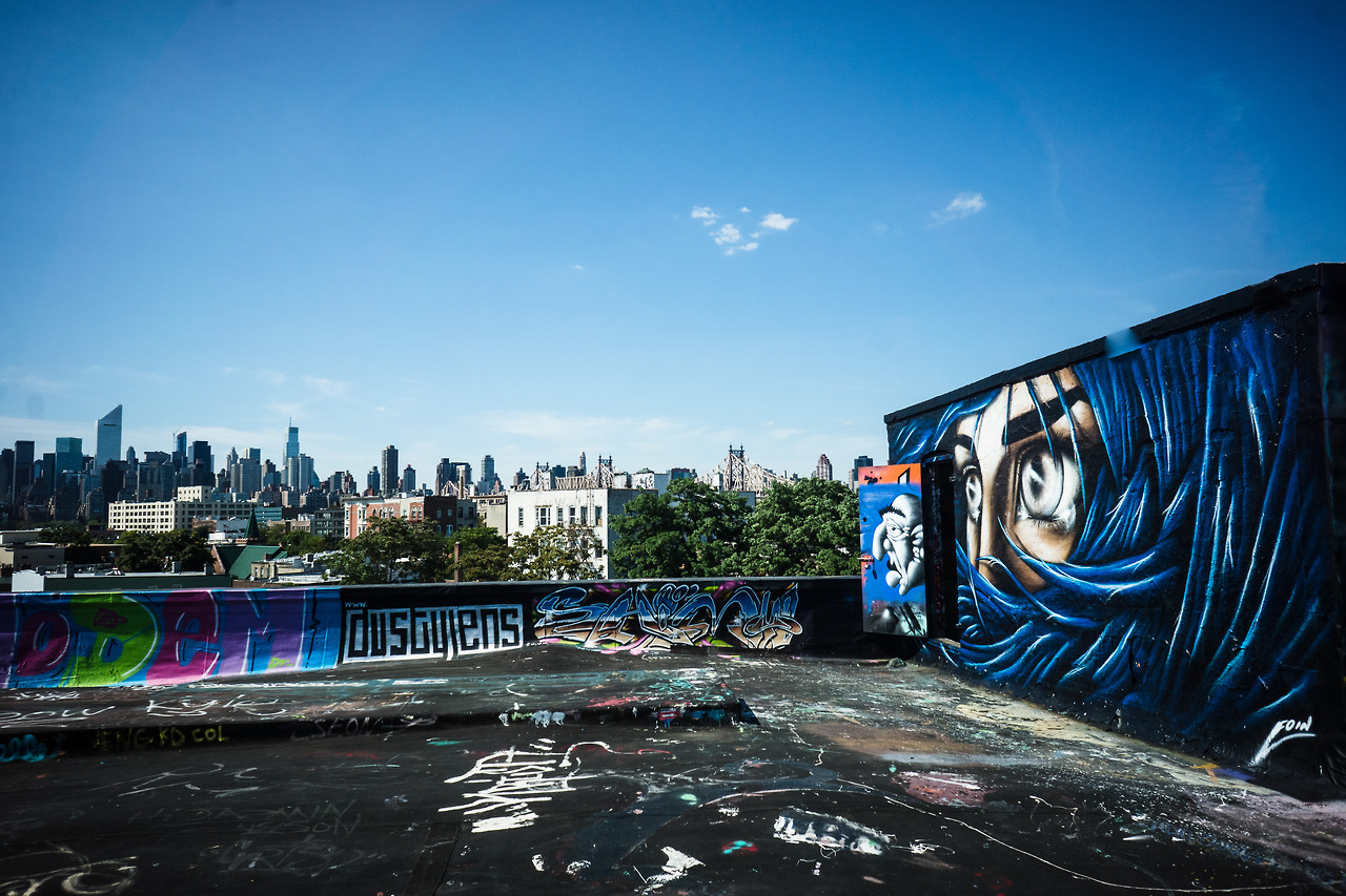 Watching from 5Pointz roof