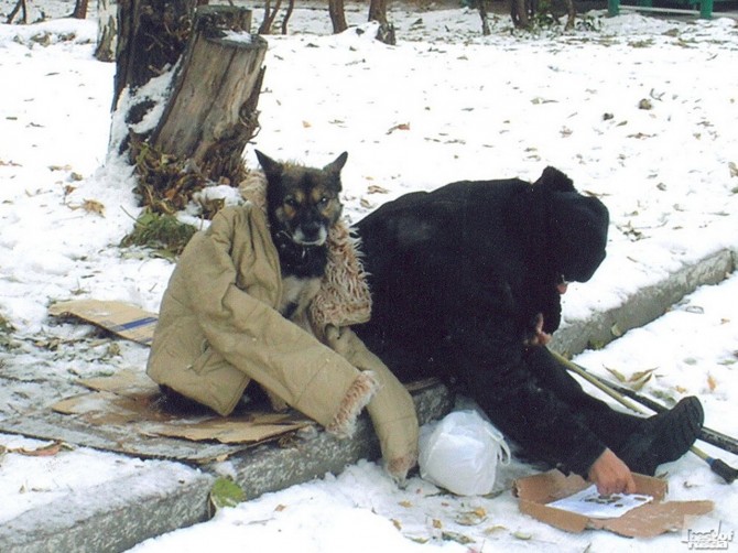 Awesome Photos From Russia With Love - Granny Dog 2