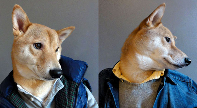 Menswear Dog