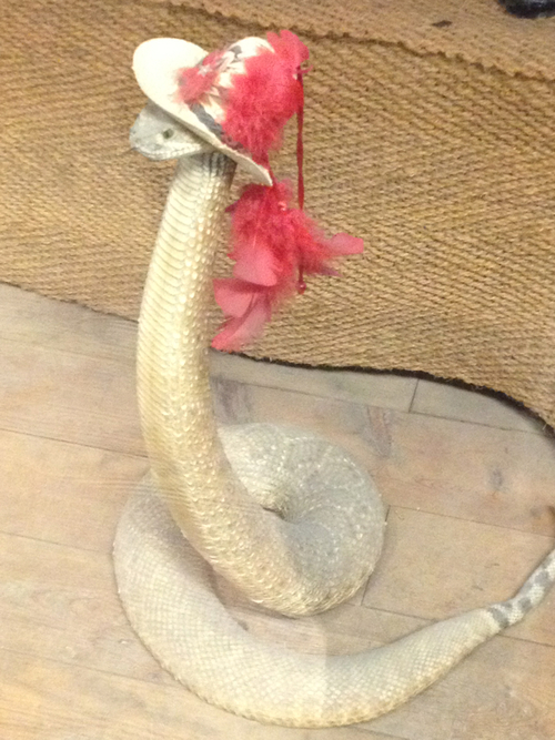 Snakes In Hats 3