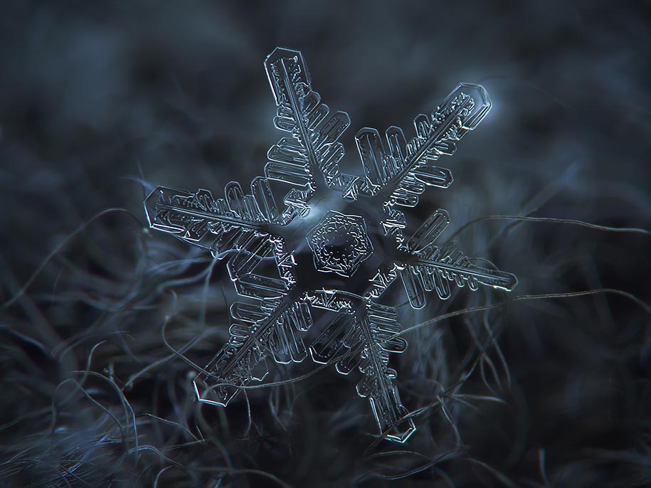 Snowflake Photograph 10