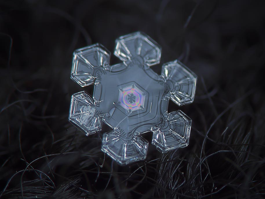 Snowflake Photograph 11
