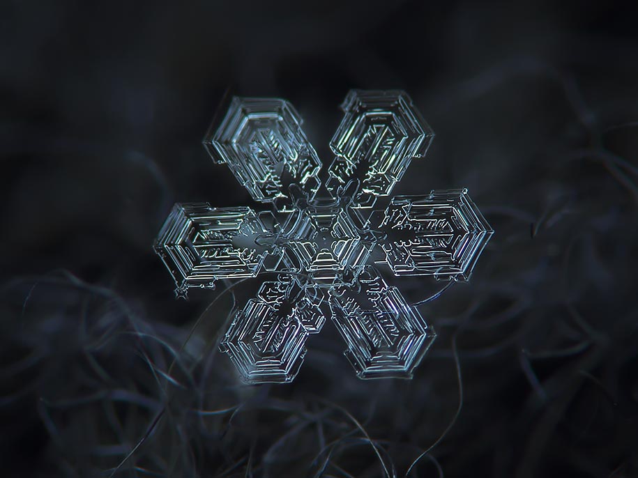 Snowflake Photograph 7