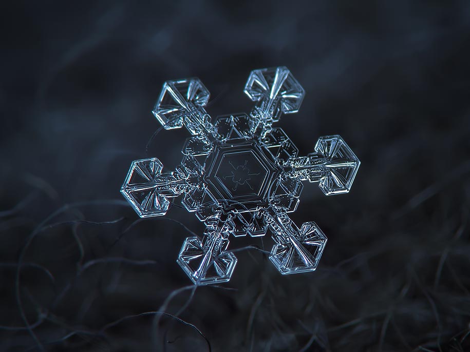 Snowflake Photograph 9