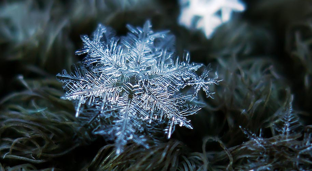 Snowflake Photography Featured