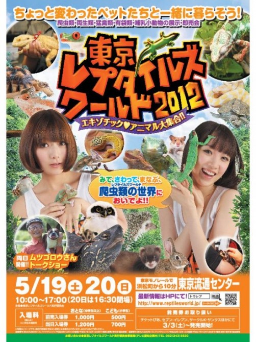 Weird Theme Restaurant - Japan - Yakohama Reptile Cafe - Sub Tropical