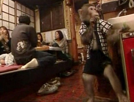 Weird Theme Restaurant - Monkey Waiter - Kayabukiya tavern, Japan