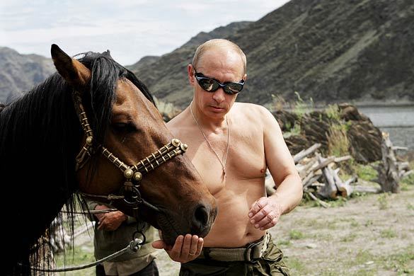 putin horse