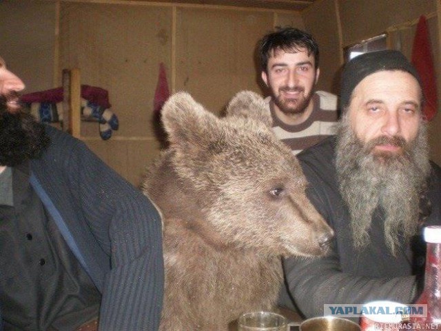 Awesome Phots From Russia With Love - Monk and Bear