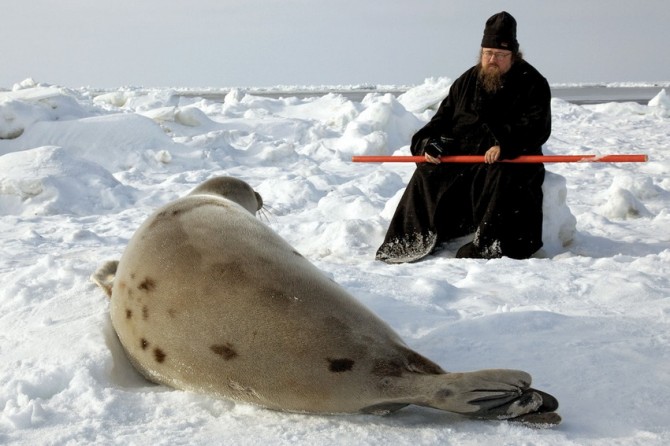 Awesome Phots From Russia With Love - Monk and Seal