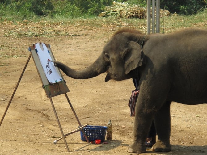 Elephant Trunk - Use Purpose Skill - Painting