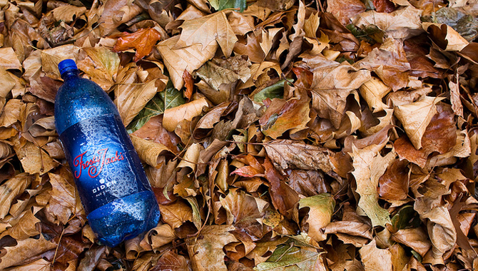 Frosty Jack's in Leaves