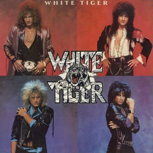 Glam Bands - White Tiger