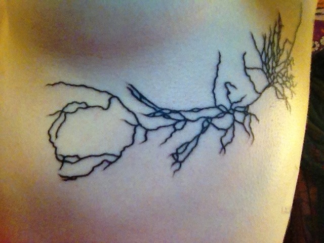 Science Maths Geek Tattoos - Pyramidal Neuron of the Hippocampus