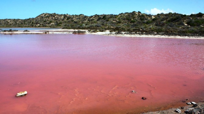 Weird Places - Pink Lake - Western Australia closer