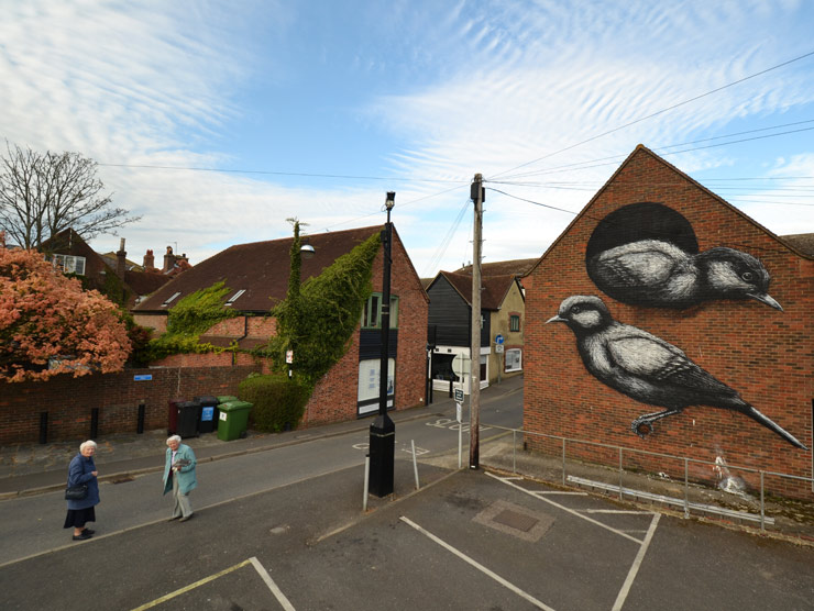 brooklyn-street-art-roa-2013-London-chichester-web-4