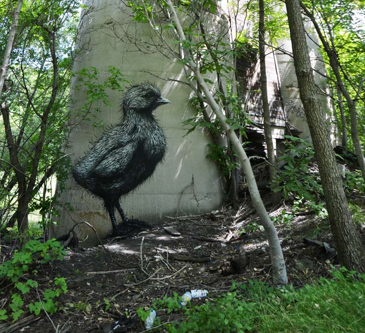 brooklyn-street-art-roa-2013-rochester-web-1