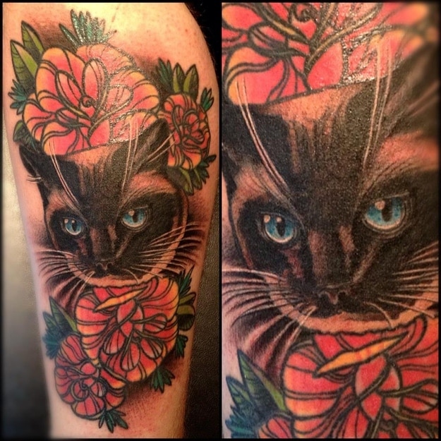 cat 8