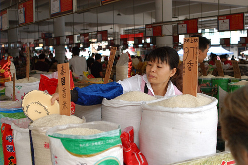 fake rice china plastic