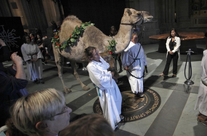 Catholics Blessing Animals - camels