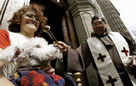 Catholics Blessing Animals - unimpressed