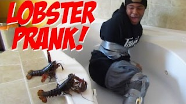 Lobster Prank